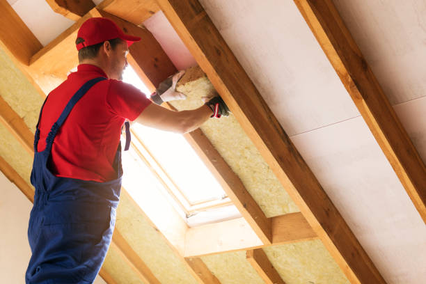 Best Attic Insulation Installation  in Eastlawn Gardens, PA